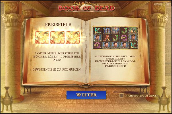 Casino Euro Book of the Dead Slot