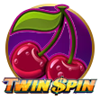 Twin Spin