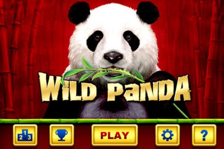 Wild Panda Spielautomat